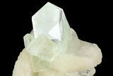 Zoned Apophyllite Crystals With Stilbite - India #72073-2
